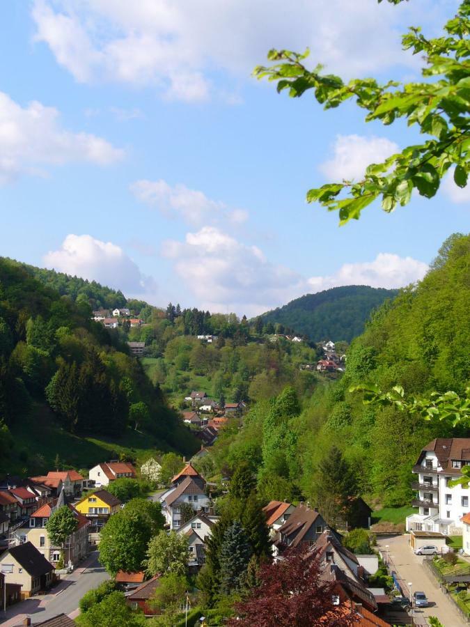 Landhaus Kathrin Walkenried Dış mekan fotoğraf